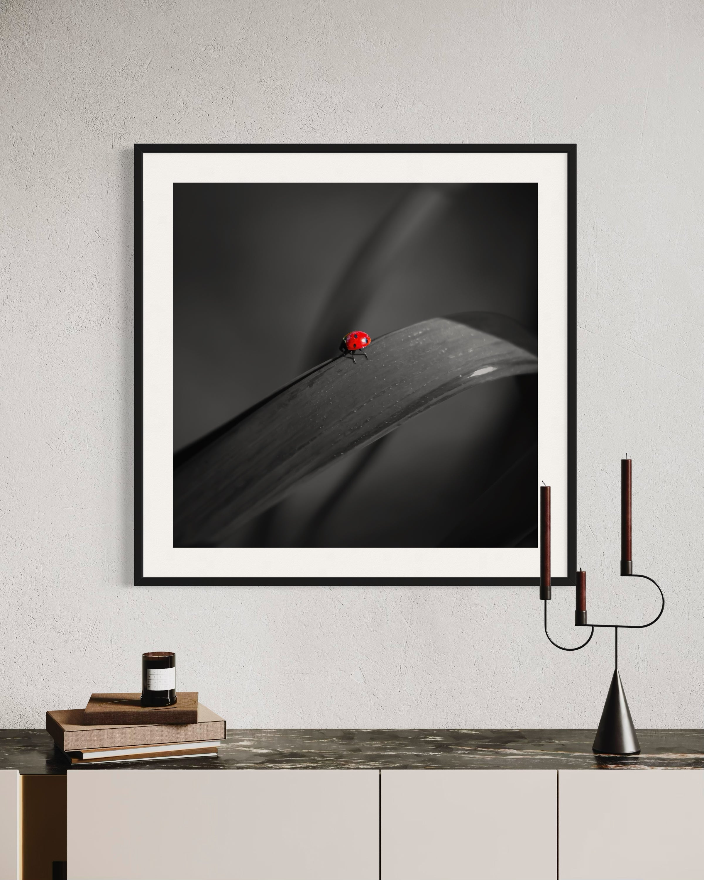 photo of Ladybug in middle of square image, everything except the Ladybug is black and white in black frame on off white wall above rustic wooden furniture