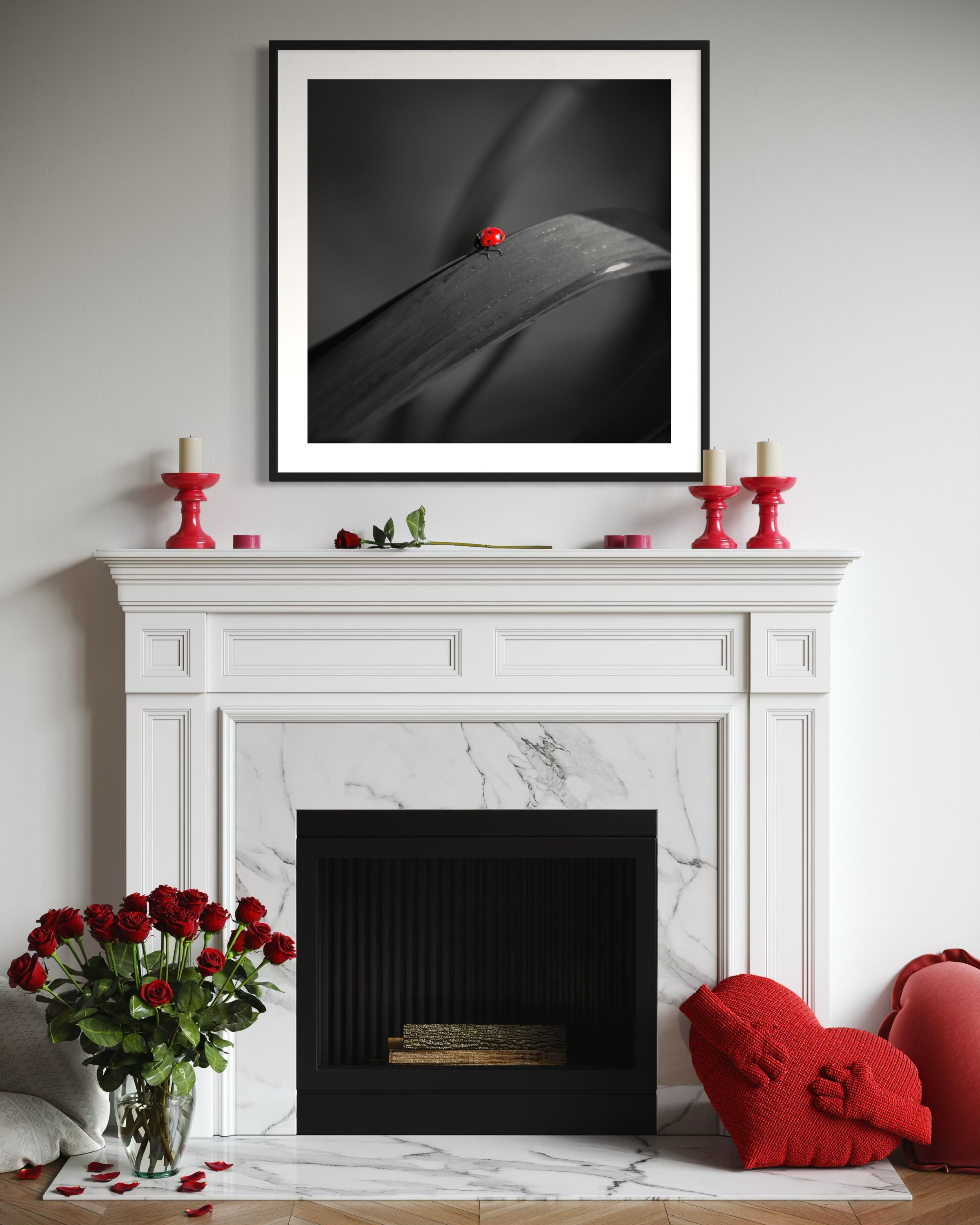 photo of Ladybug in middle of square image, everything except the Ladybug is black and white in black frame with white matte on white wall above fireplace with roses and heart shaped pillows on floor