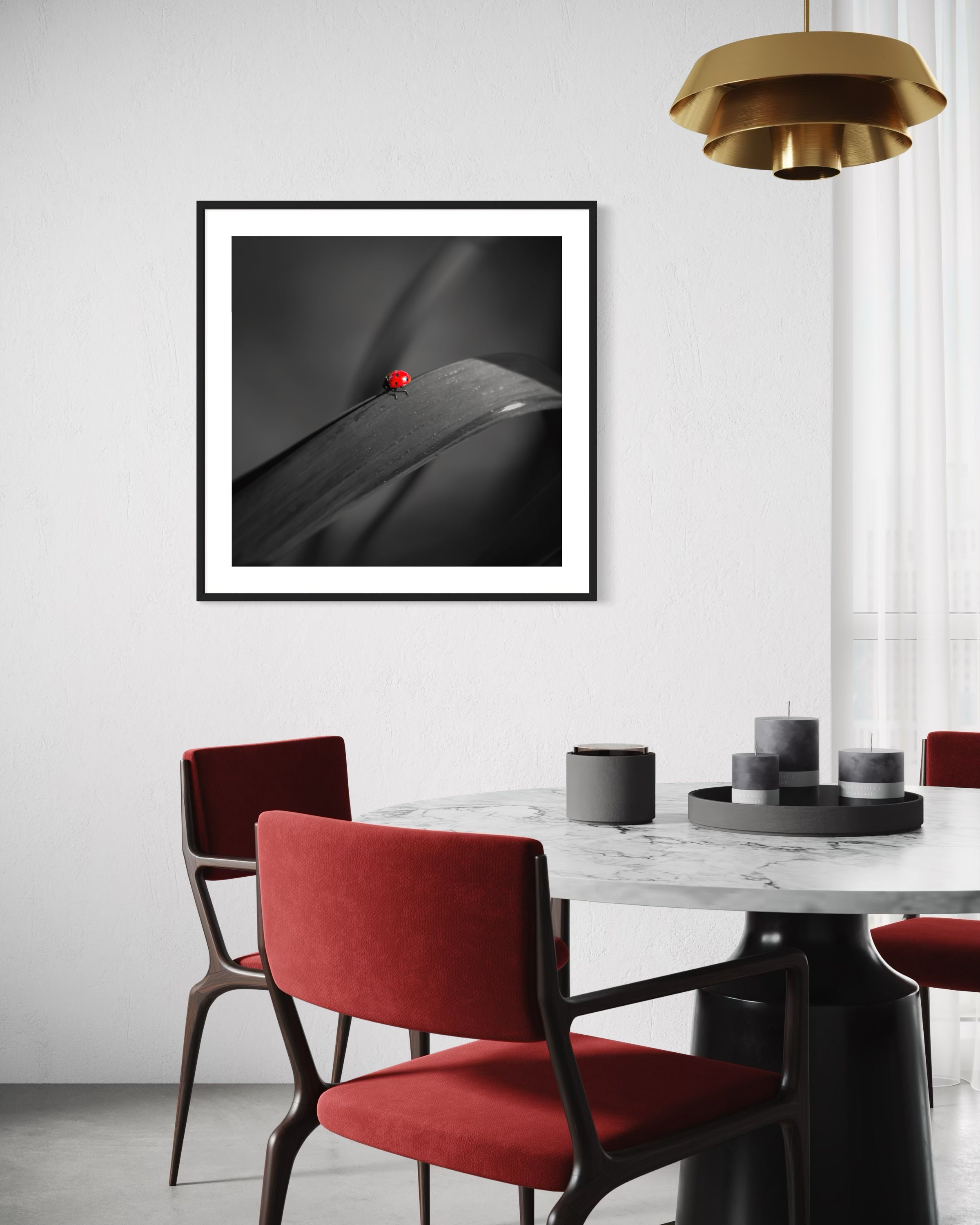 photo of Ladybug in middle of square image, everything except the Ladybug is black and white in black frame on white wall in modern breakfast room with white marble top table with red chairs