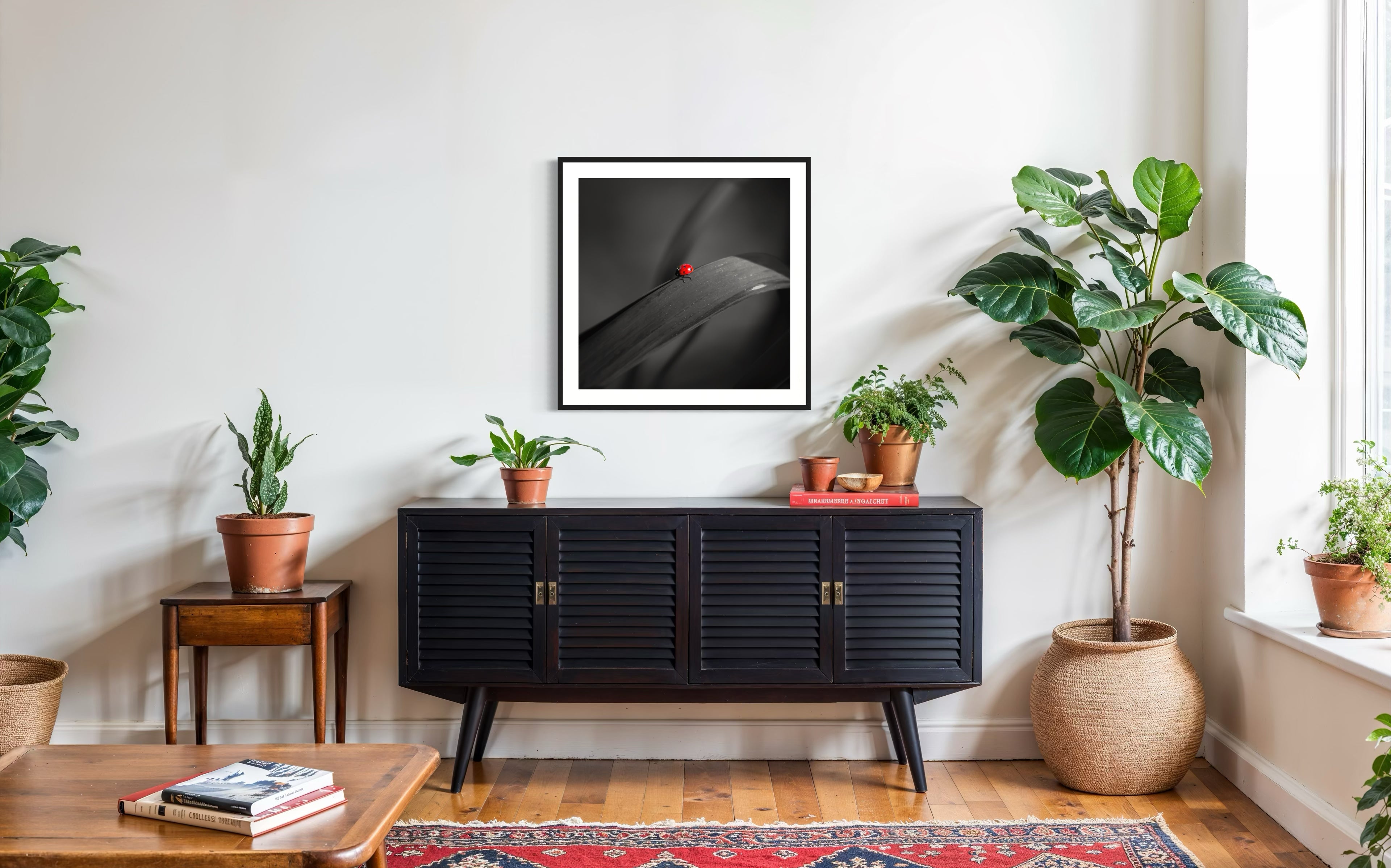 photo of Ladybug in middle of square image, everything except the Ladybug is black and white in black frame with white matte on white wall above modern black piece of furniture on hardwood floors in living room