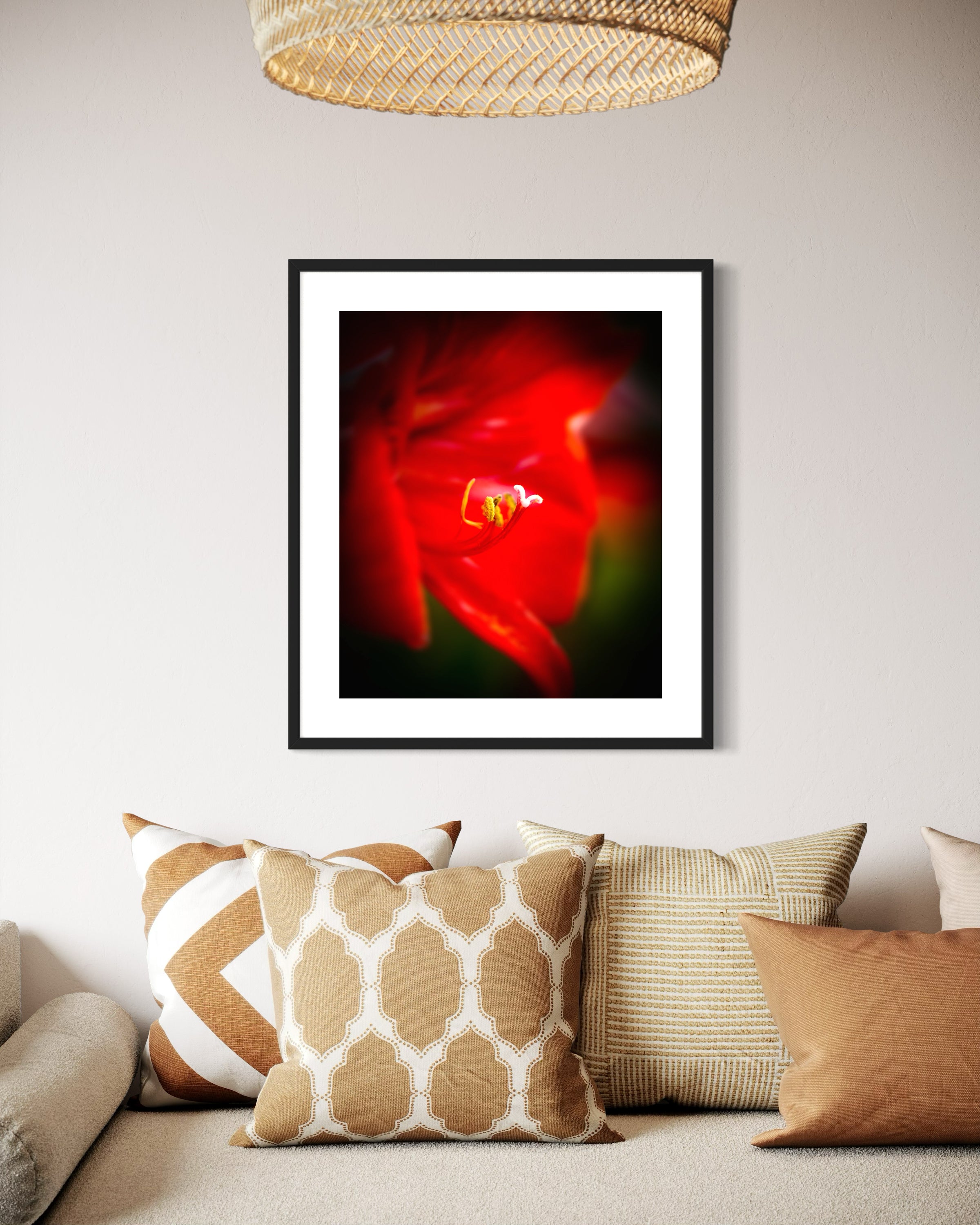 macro photo of red flower, selective focus in black frame on light brown wall with dramatic window light in black frame with white matte above sofa with many pillows in earth tones