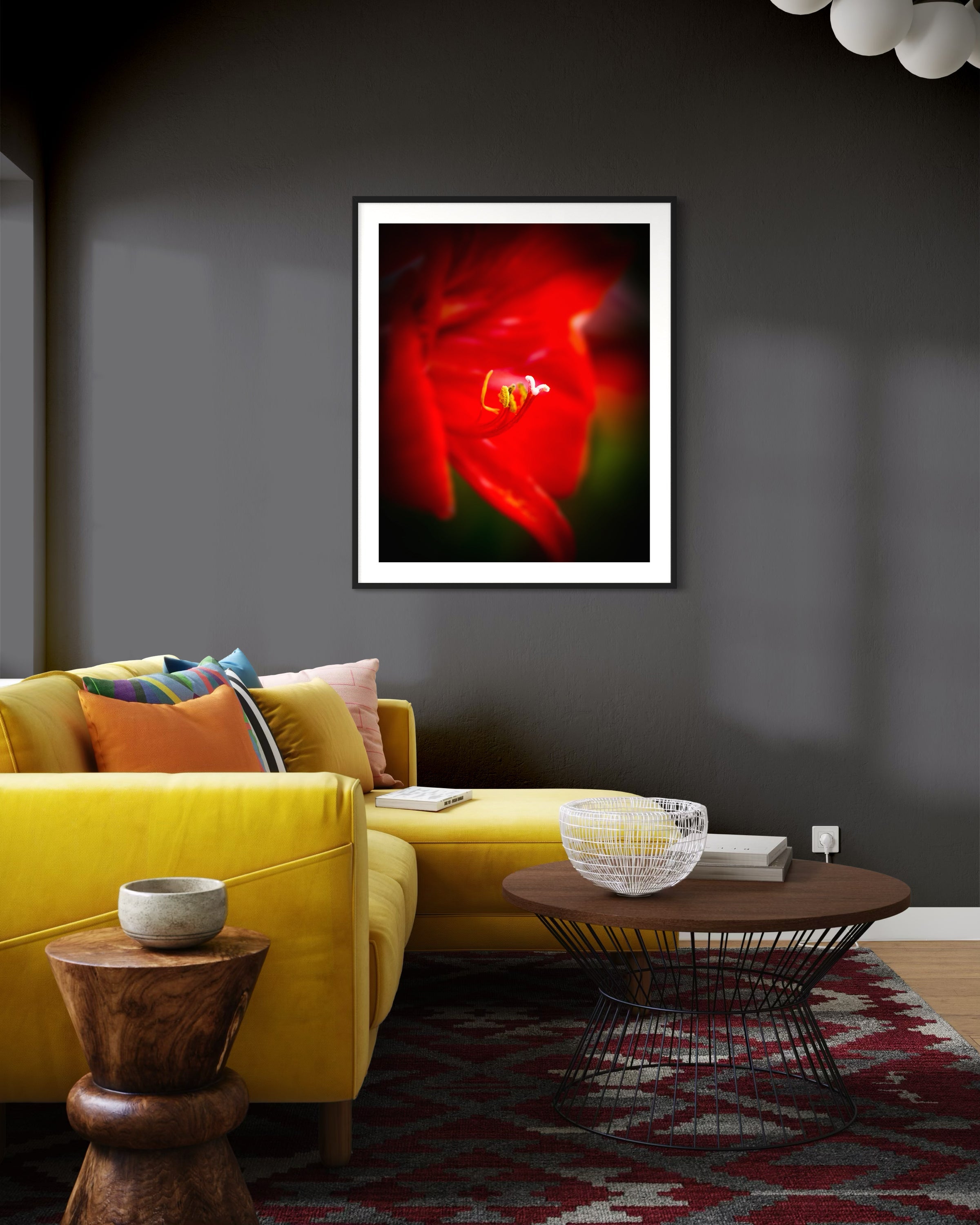 macro photo of red flower, selective focus in black frame with white matte on charcoal gray wall in living room with bright yellow couch