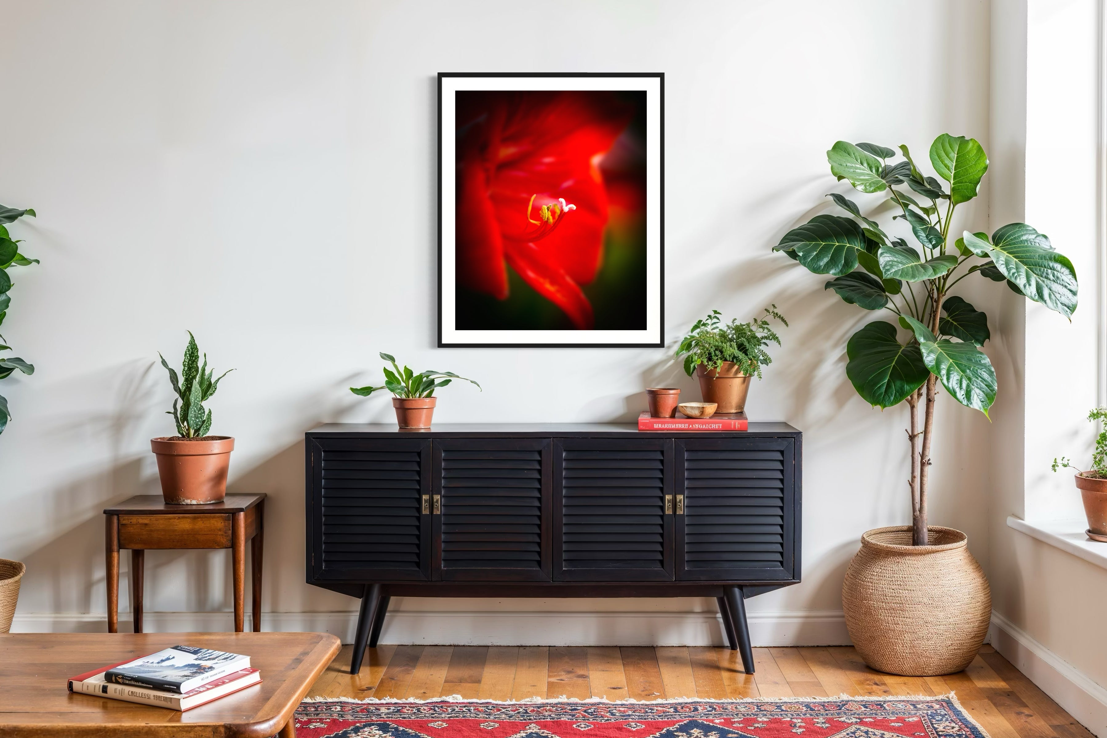 macro photo of red flower, selective focus in black frame on white wall above very modern small black table with tall plants on the sides