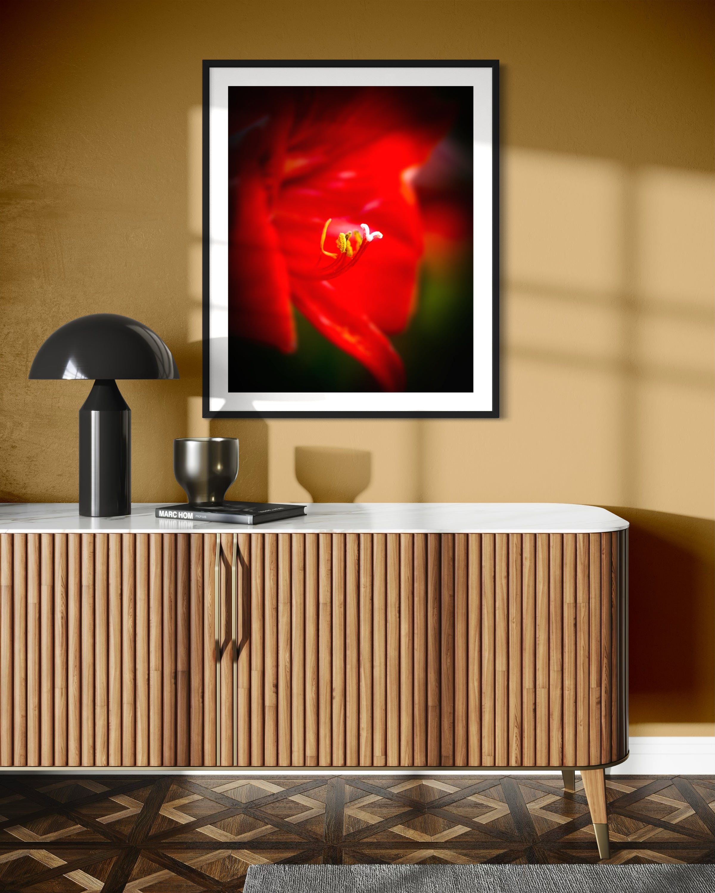 macro photo of red flower, selective focus in black frame on light brown wall with dramatic window light
