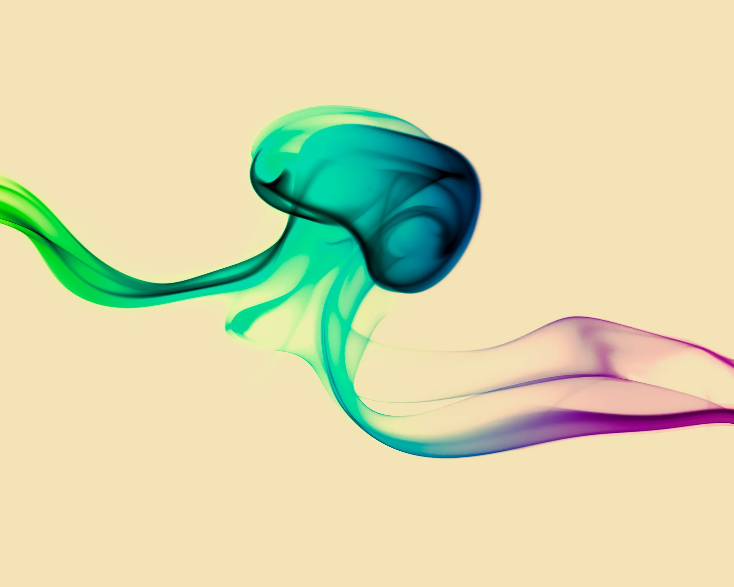 photo of abstract purple, green, blue, yellow wave at the bottom on orange overall