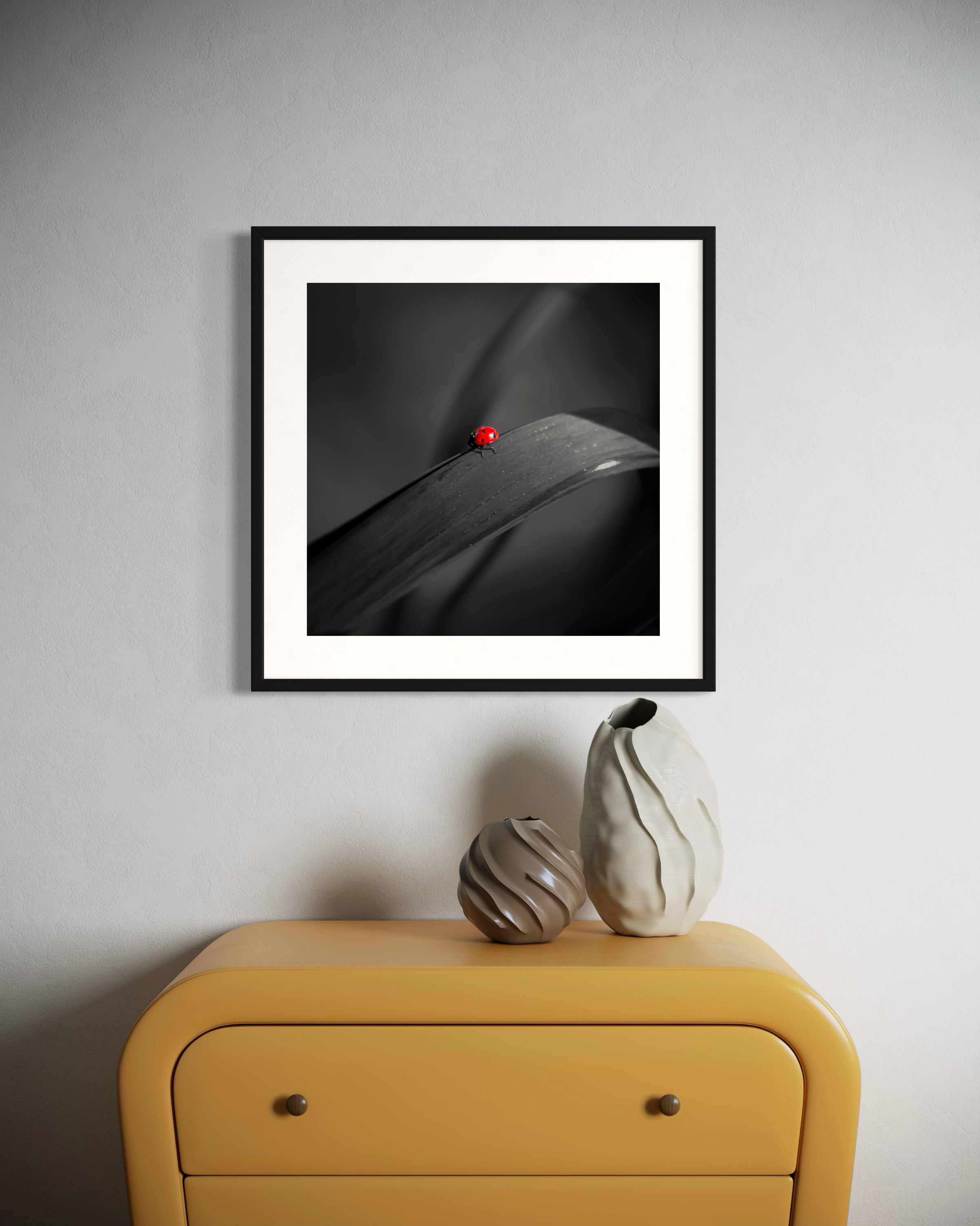 photo of Ladybug in middle of square image, everything except the Ladybug is black and white in black frame on white wall with golden yellow table below